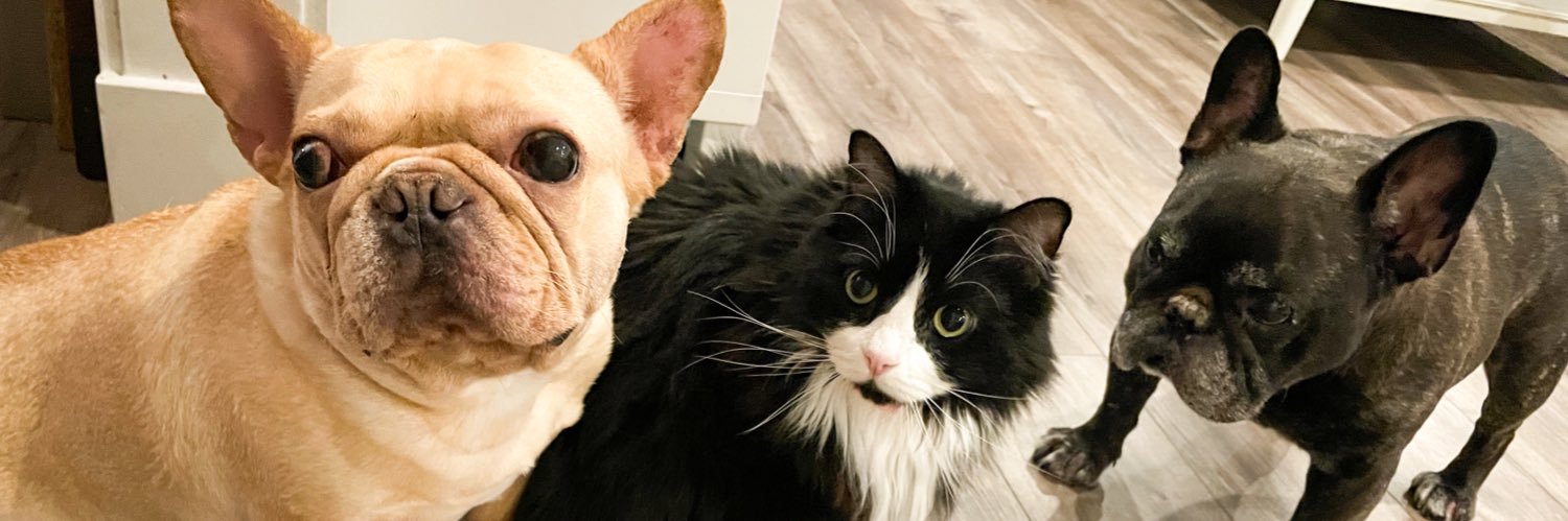 MK 🇨🇦🌻🫧 banner