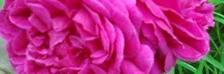 VelavaXxx's profile banner image