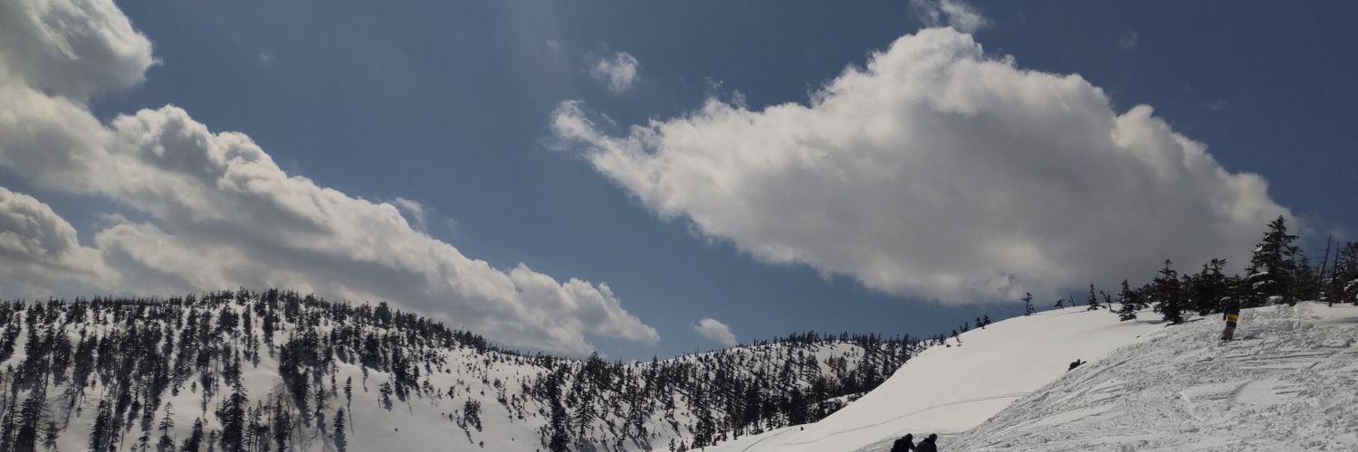 _ys_11's profile banner image