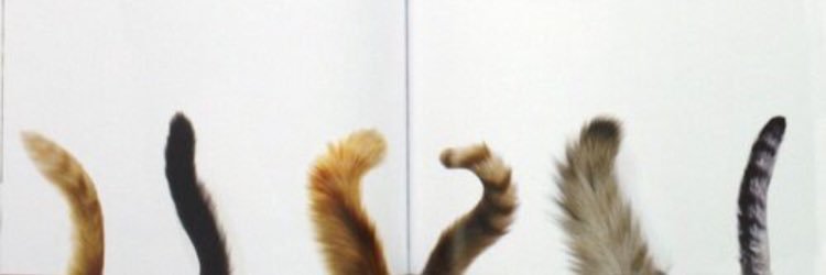 hicranural's profile banner image
