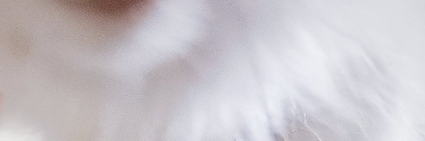 suncurves__ Profile Banner