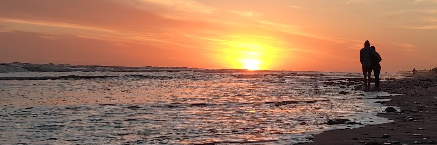 anitopaez's profile banner image