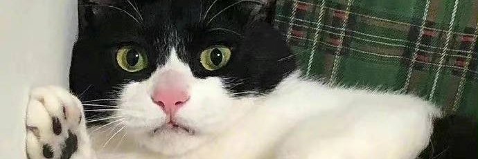 ohlay78's profile banner image