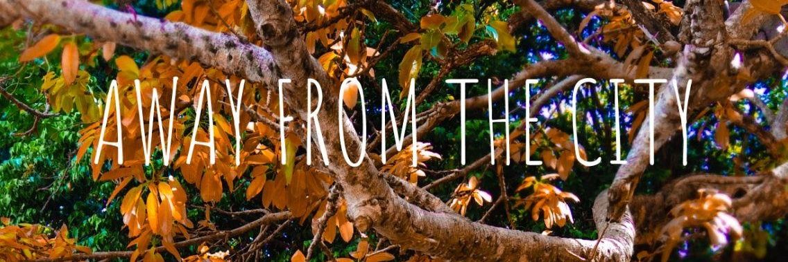 newhasharn's profile banner image
