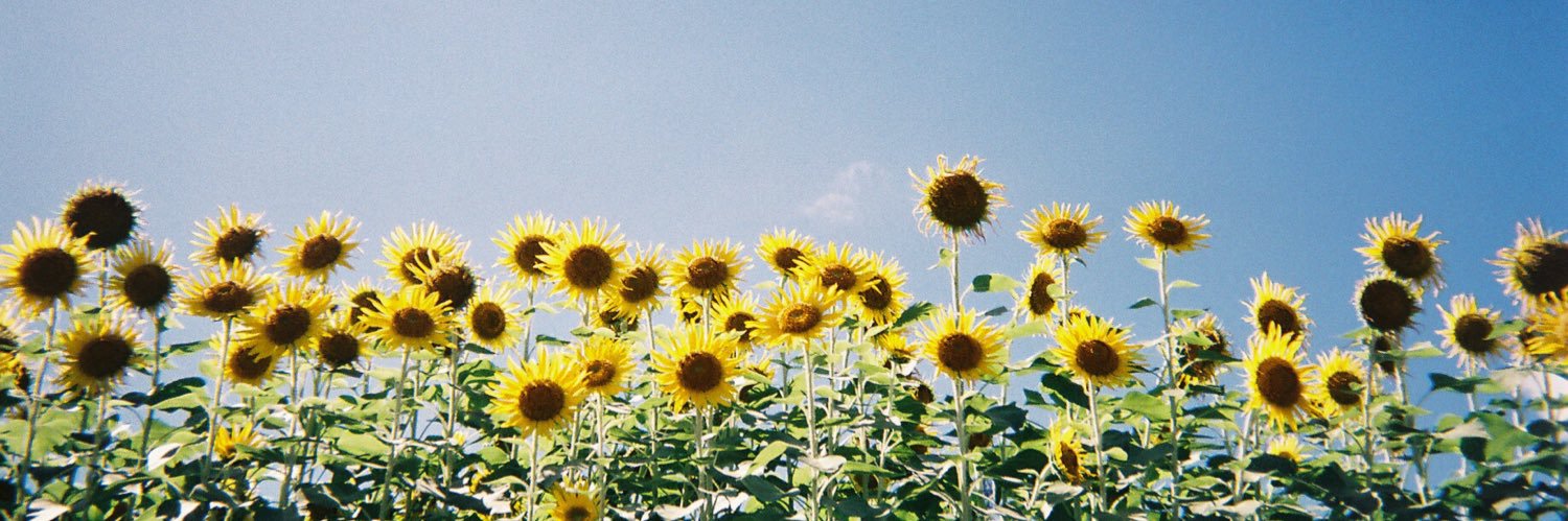 ngtweeted's profile banner image