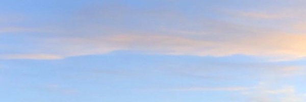 sstoeii Profile Banner