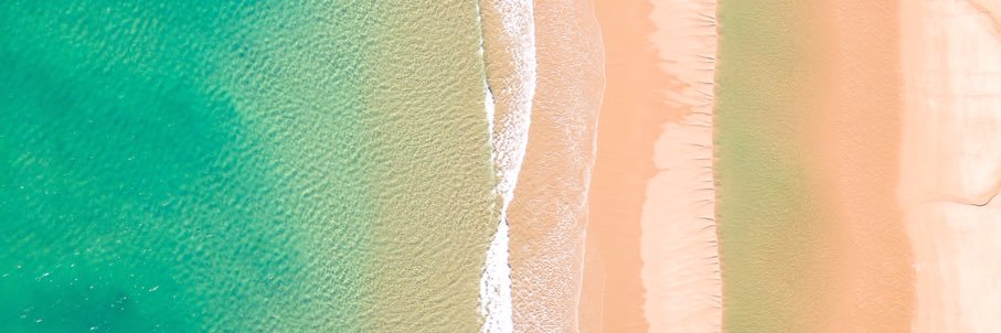 Selena Hawkins banner