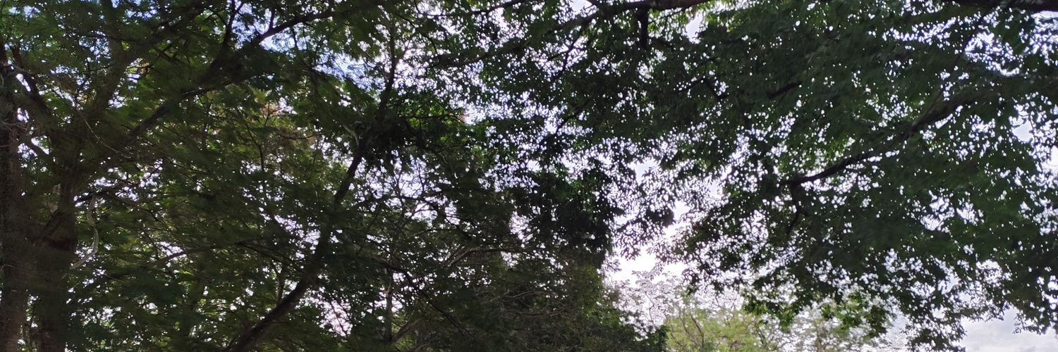 wan_misguided's profile banner image