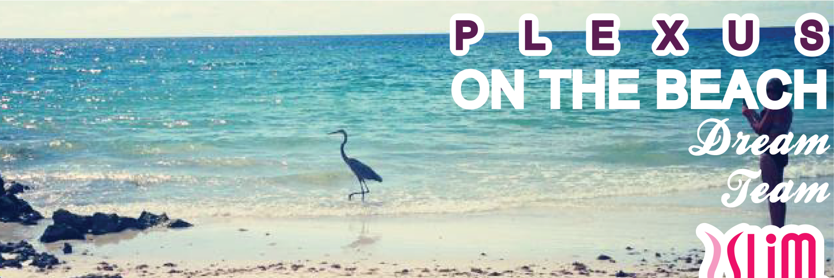 PlexusOTB's profile banner image