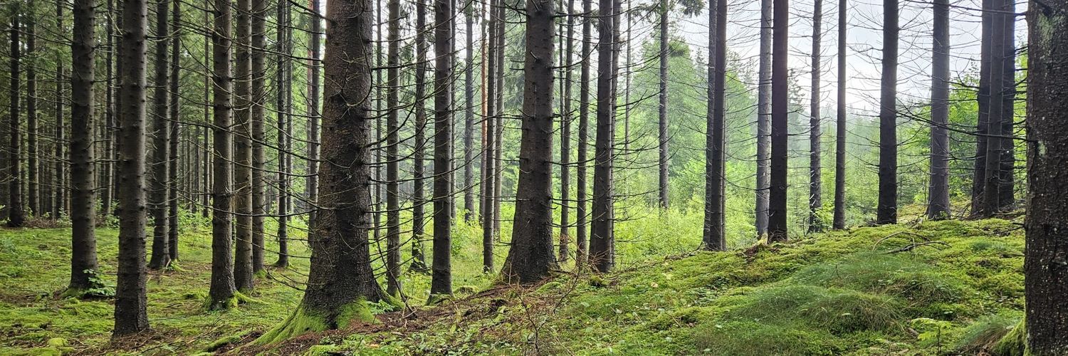 Finn Åkerström banner