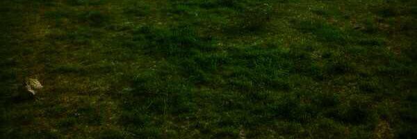 mezzhf's profile banner image