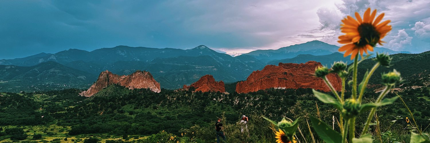 amydeines_'s profile banner image