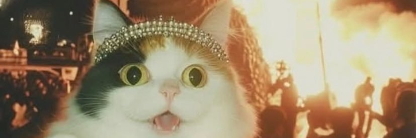 tiycex's profile banner image