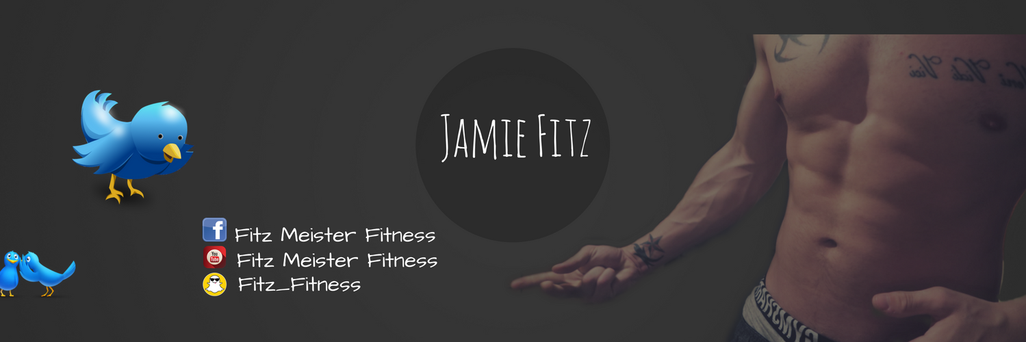 FitzzMeister's profile banner image