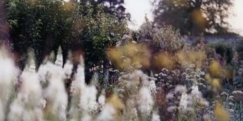 elashiryWG's profile banner image