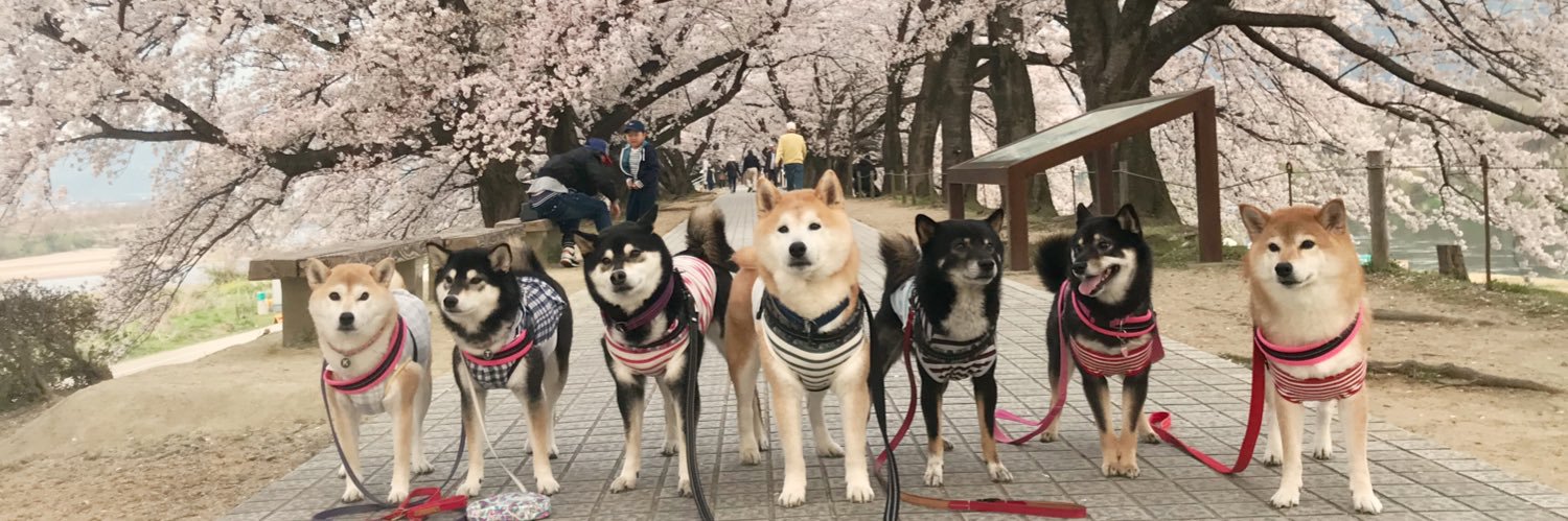 qoo0707's profile banner image