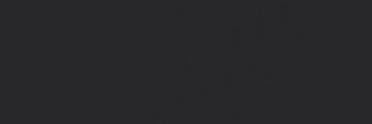 chvnele's profile banner image