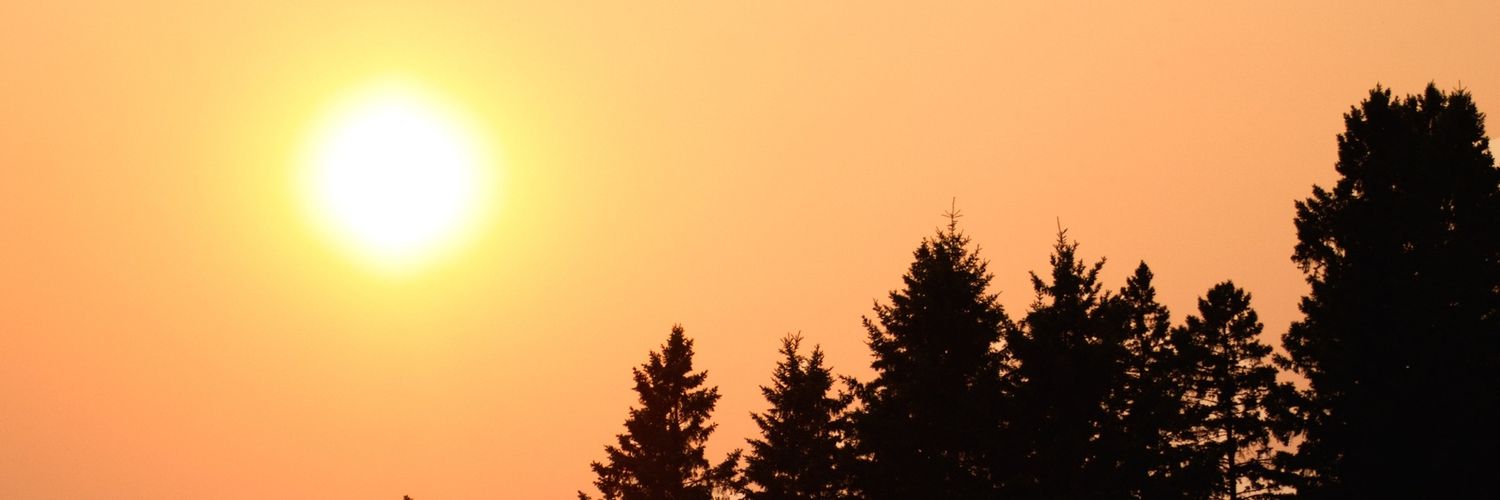 lilwolf_92's profile banner image