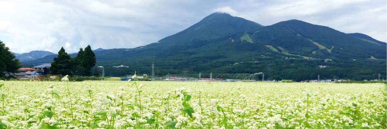 ha7sato's profile banner image