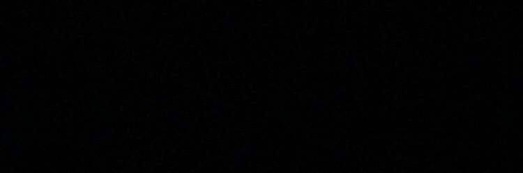 Falon Octavia banner