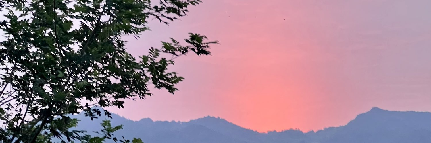 Penny_ banner