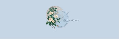 Alhatunn's profile banner image