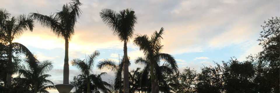 drhaleemm's profile banner image