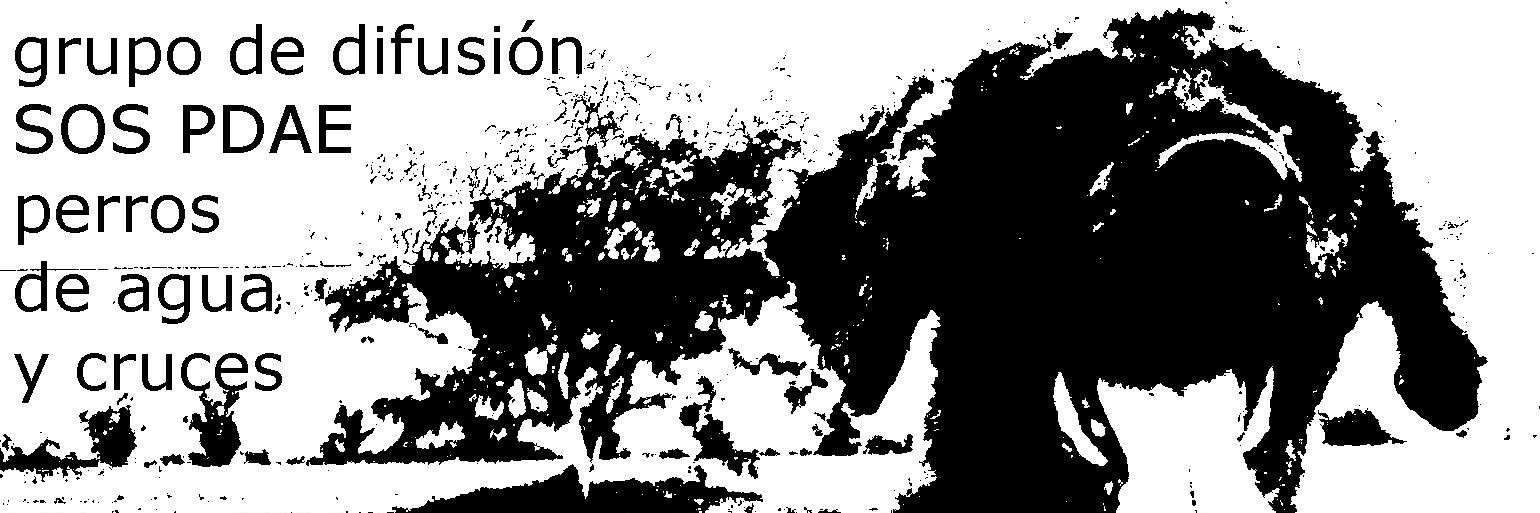 begomtez's profile banner image