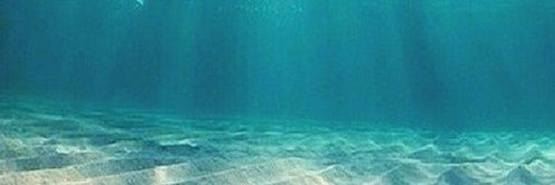 Aom_krbot's profile banner image