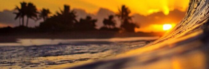G1B50N's profile banner image