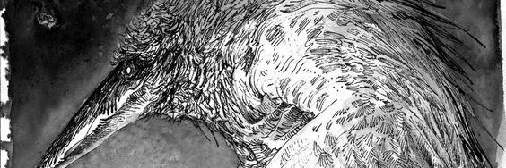jackfro82630927's profile banner image