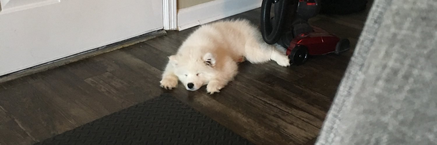 Cheezy-Z (チーズィー) banner