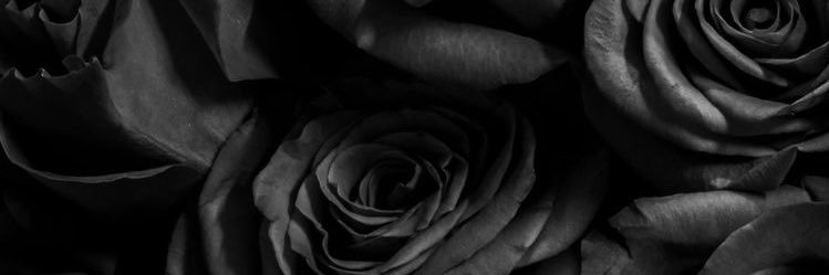 TDeonsha's profile banner image