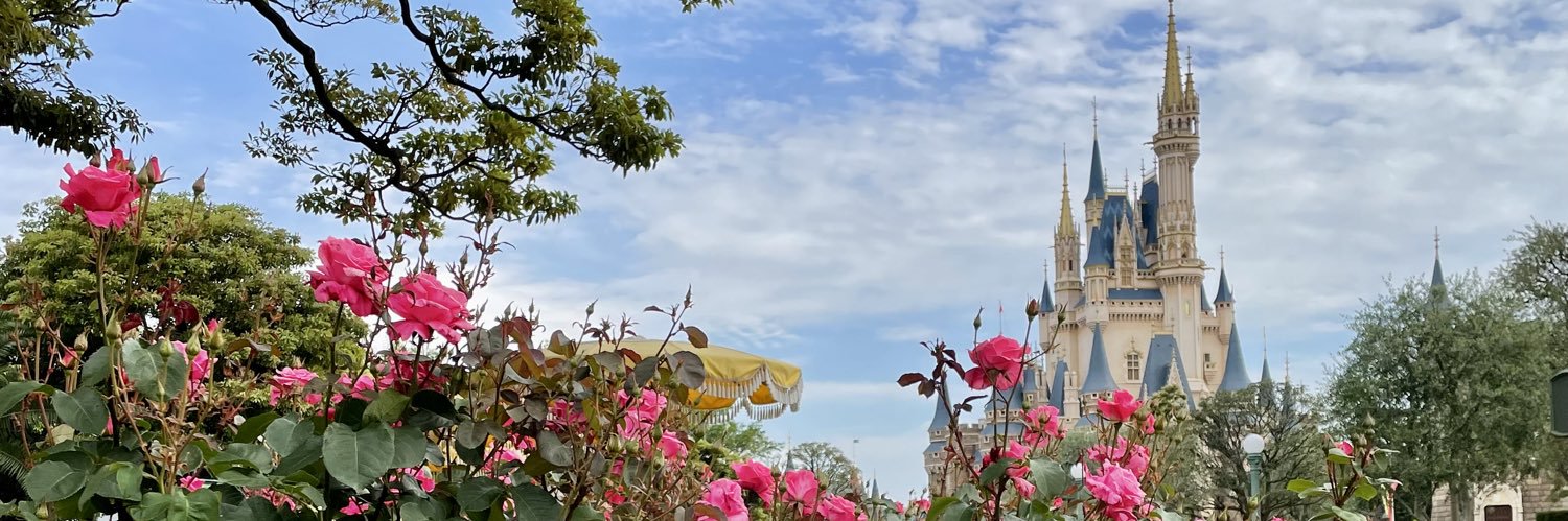 mwshiho's profile banner image