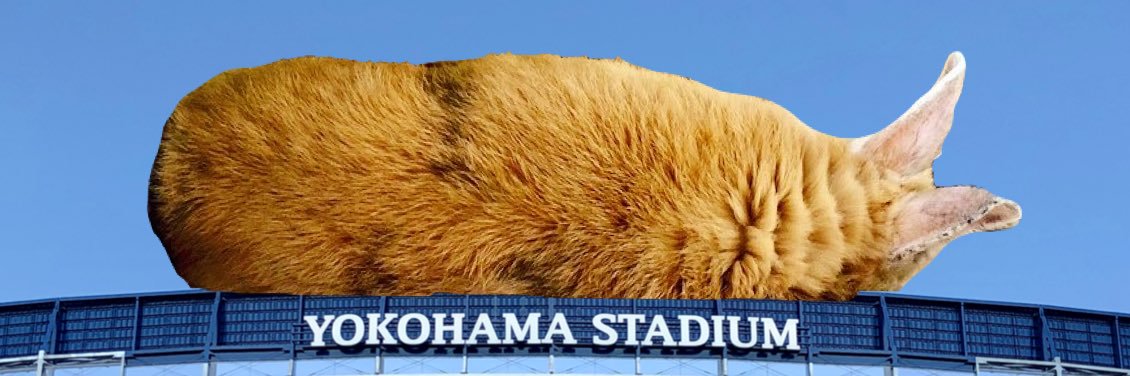 よっちぇく&きんむぎ banner