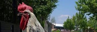 necmi28's profile banner image