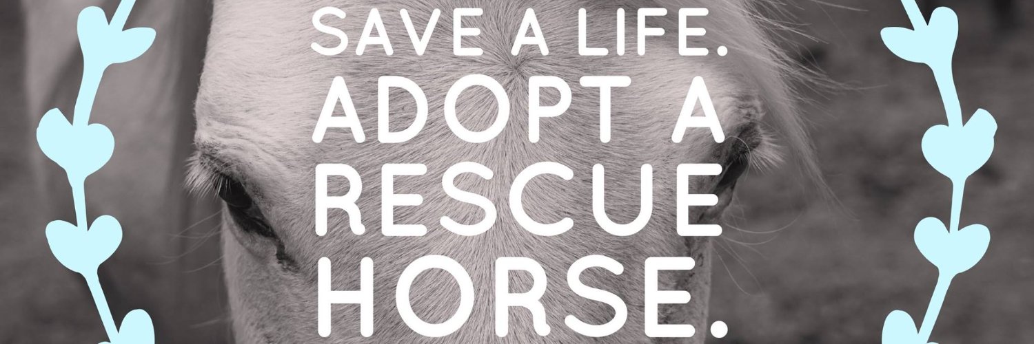 Habitat for Horses banner