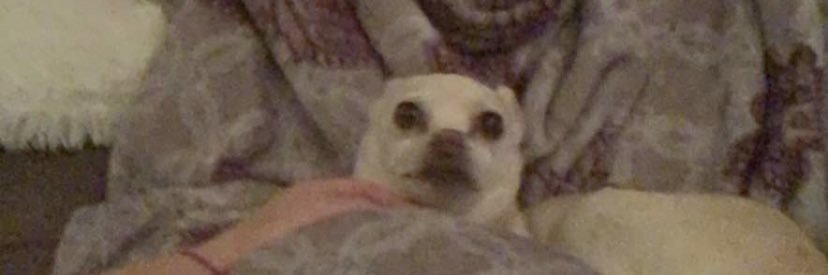 _jusie's profile banner image