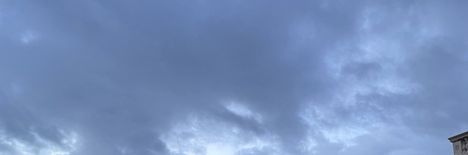 Bianca Healey banner