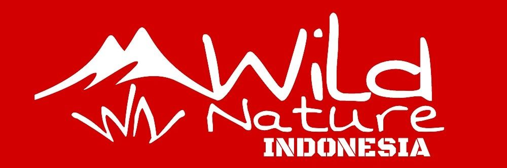 WildNatureID's profile banner image