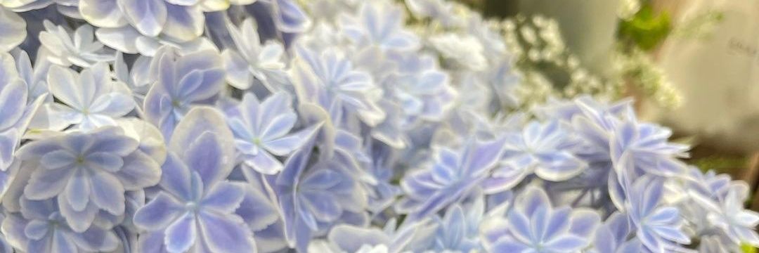 112154AYa2's profile banner image