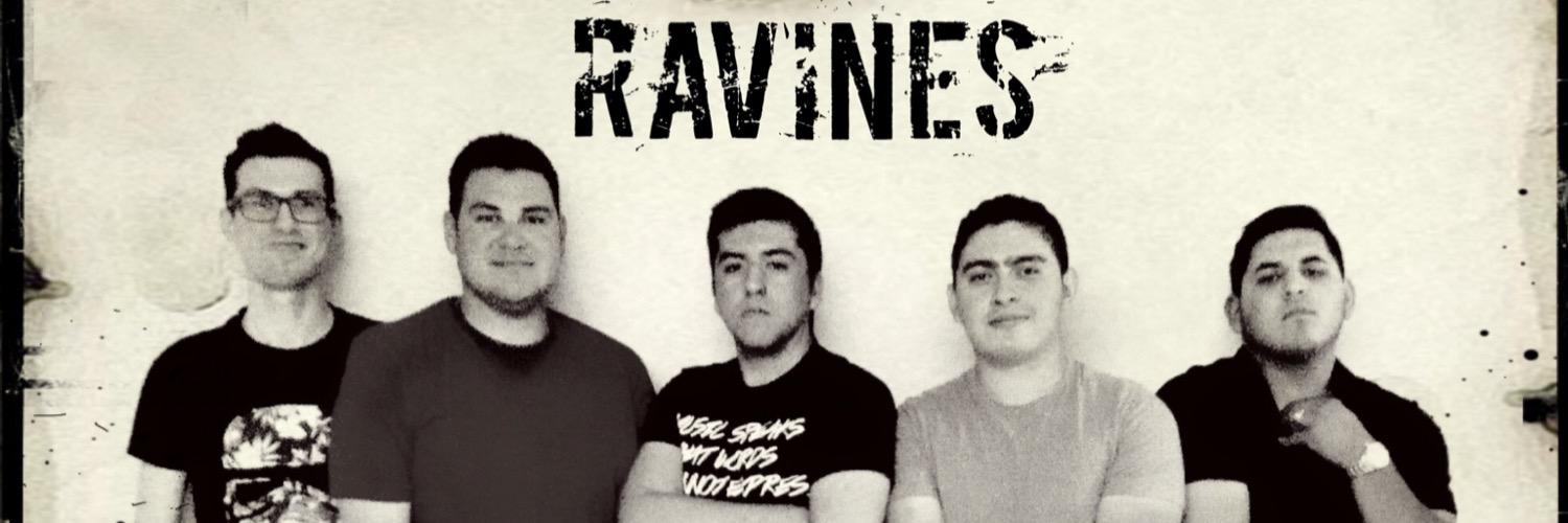 DaveRavine's profile banner image