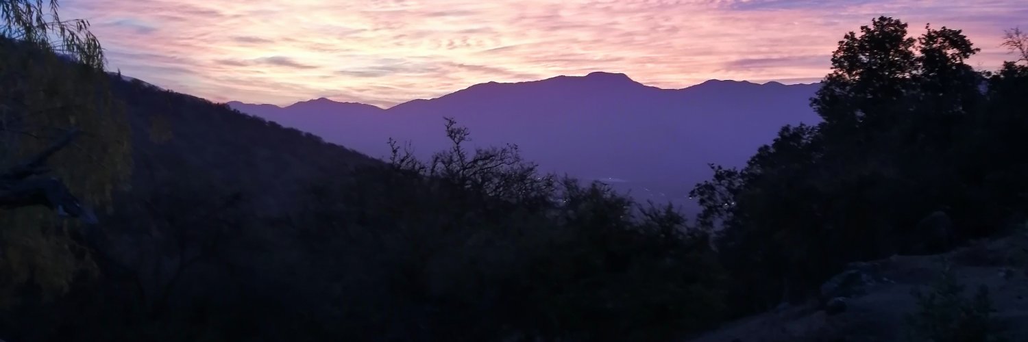 pipedh's profile banner image