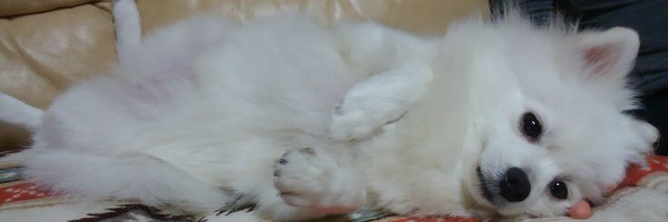 m_sk96's profile banner image