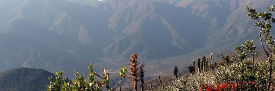 DeCuracavi's profile banner image