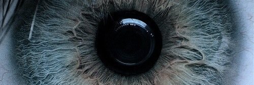 TsrRebecca's profile banner image