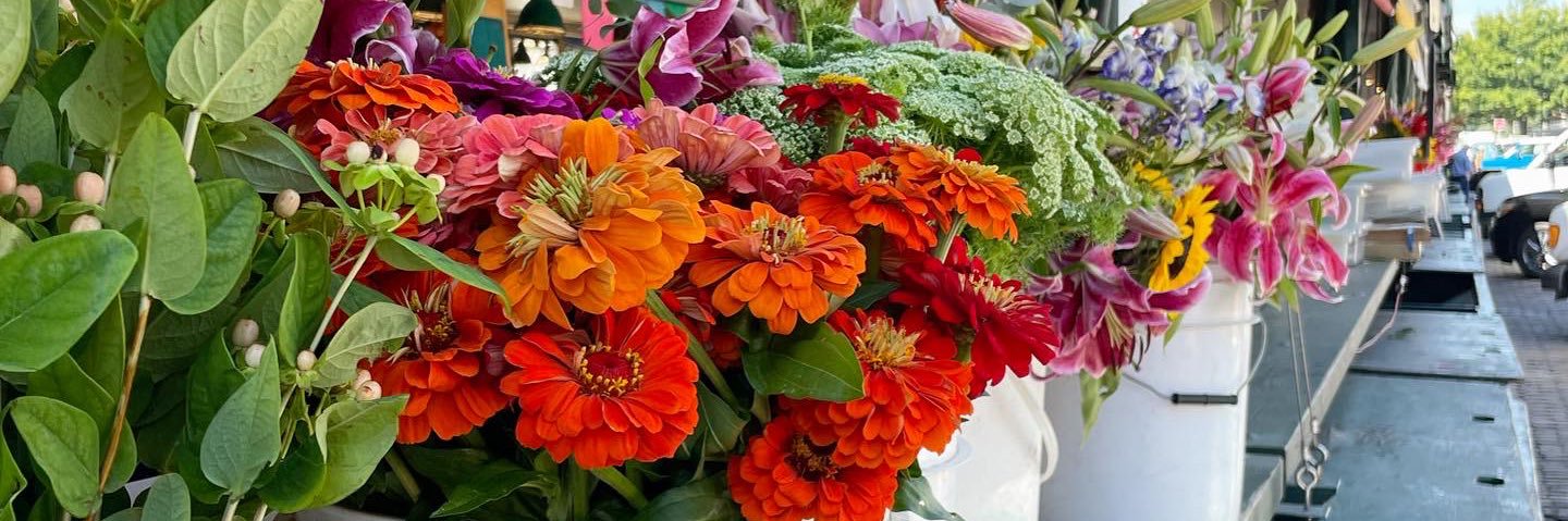 BethClark21's profile banner image