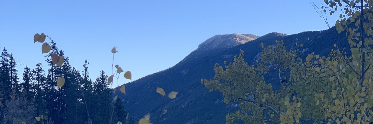 itchelivonne's profile banner image