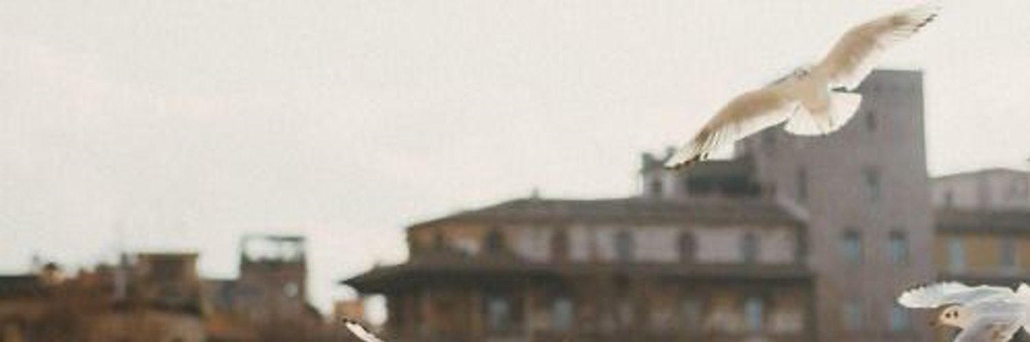 nova banner