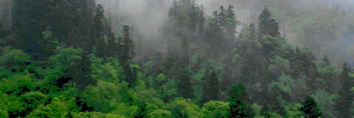 sie1_sie's profile banner image
